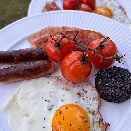 Hojriisgaard Отель типа 