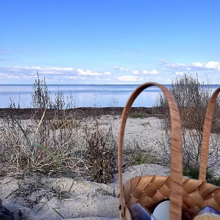 Hojriisgaard Отель типа 