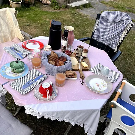 Hojriisgaard